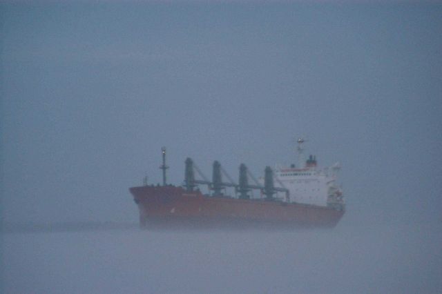 A large ship appears out of the fog heading up the Mississippi River. Picture