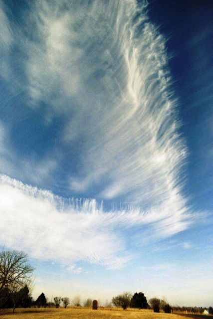 Cirrus clouds. Picture