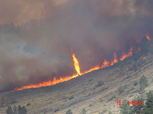 During an afternoon of extreme fire behavior, a firewhirl is observed along the flaming front Picture
