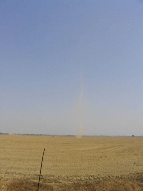 Dust devil making its way across a cleared field. Picture