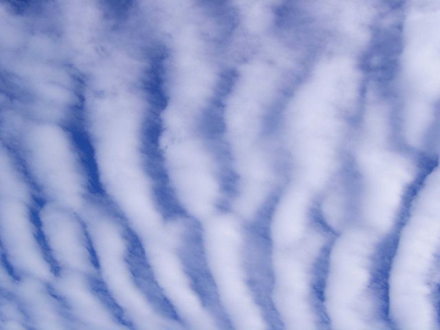 These unusual wave clouds were photographed from the Saddle Road a few miles from the road to the Mauna Loa Observatory. Picture