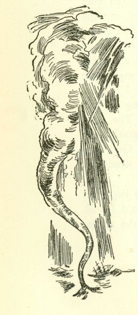 Depiction of a waterspout in 