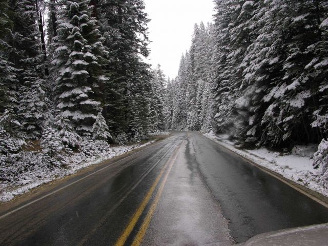Snow in Sequoia National Park. Picture