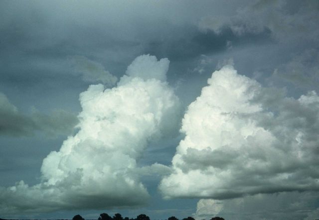 Twin towering cumulus. Picture