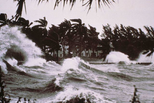 Tropical storm waves batter a palm-tree graced shoreline. Picture