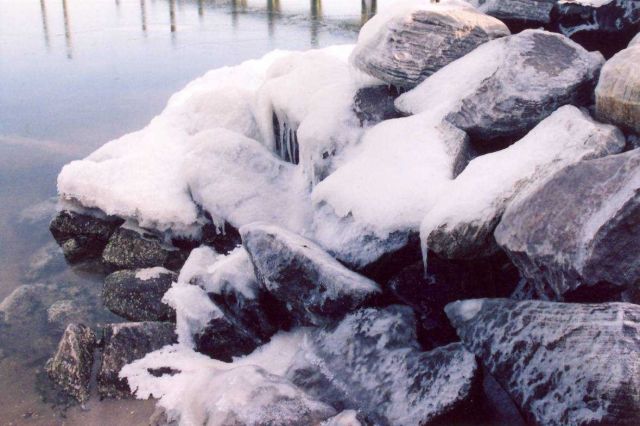 Icy rock revetment along the Patuxent River Picture