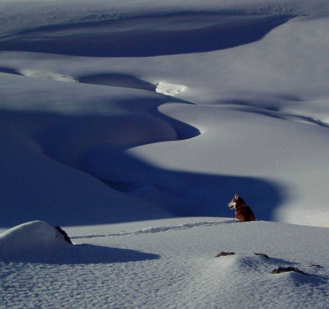 Kazak snow drainage Picture