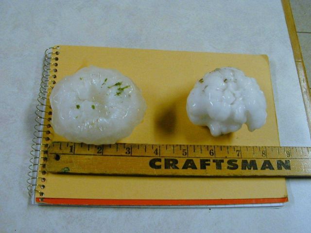 3-inch hailstones Picture