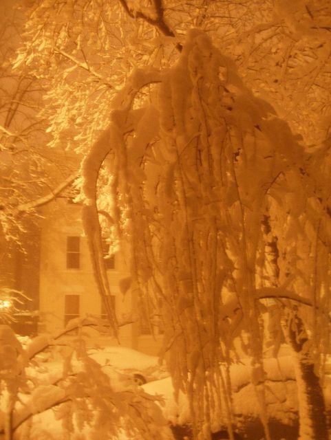 Night lights on snow during second major snowstorm of 2009/2010 season. Picture
