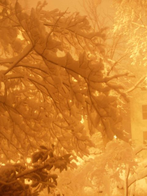 Night lights on snow during second major snowstorm of 2009/2010 season. Picture