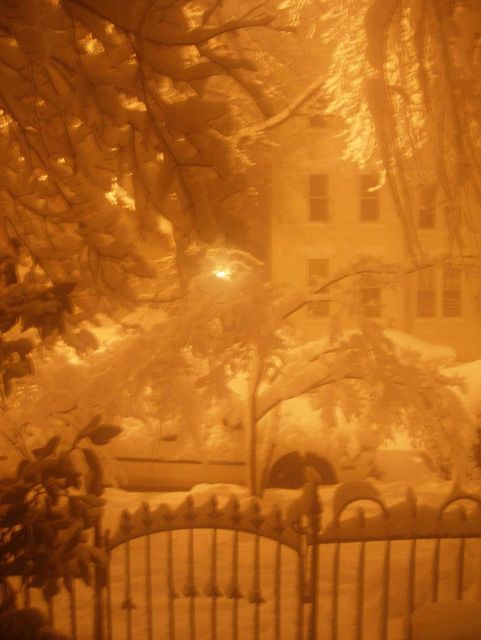 Night lights on snow during second major snowstorm of 2009/2010 season. Picture