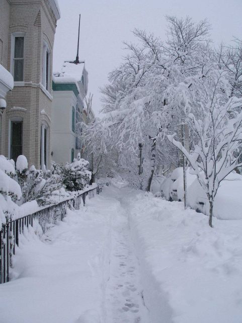 A dug out sidewalk after more than twenty inches of snow fell. Picture