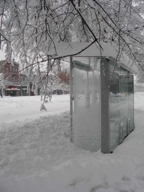 A bus stop providing no shelter Picture