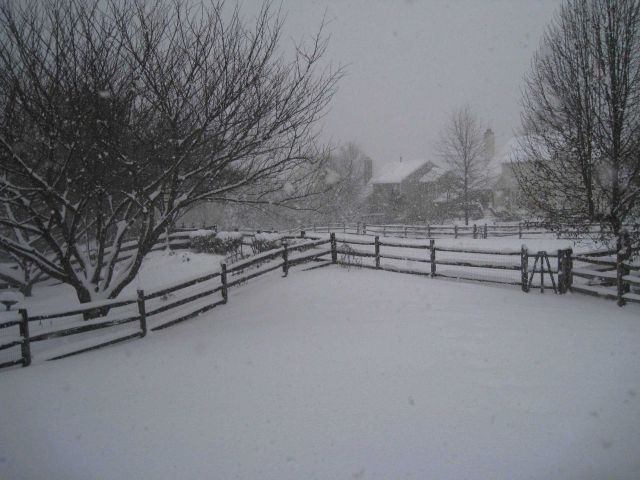 Over a foot of snow had fallen up to this time during the first great Mid-Atlantic snowstorm of the 2009/2010 winter season. Picture