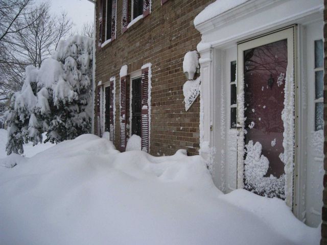 Useless front door while holly-bush prostated by weight of snow Picture