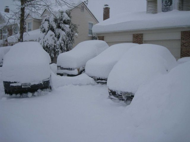 Reminiscent of a pod of whales, a pod of cars covers a driveway. Picture
