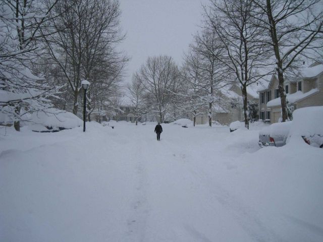 Walking in a winter wonderland. Picture