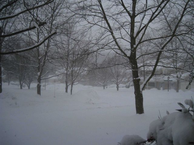 The third great storm of the winter of 2009/2010 Picture
