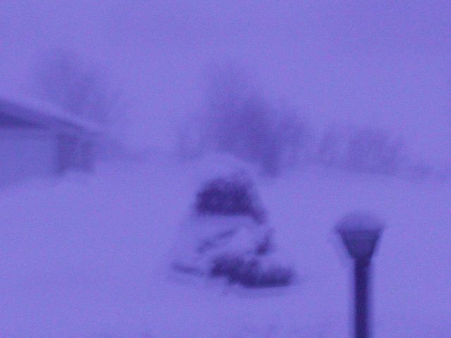 White-out conditions during blizzard. Picture