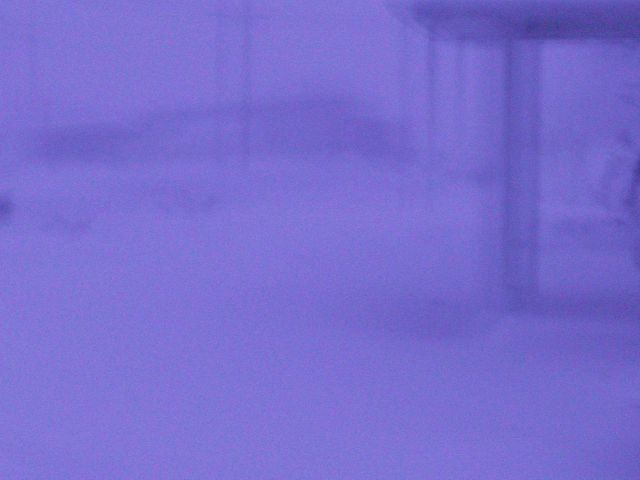 White-out conditions during blizzard Picture