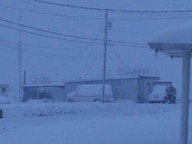 White-out conditions during blizzard Picture
