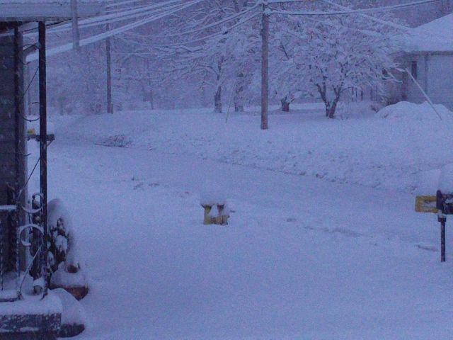 Heavy snow Picture