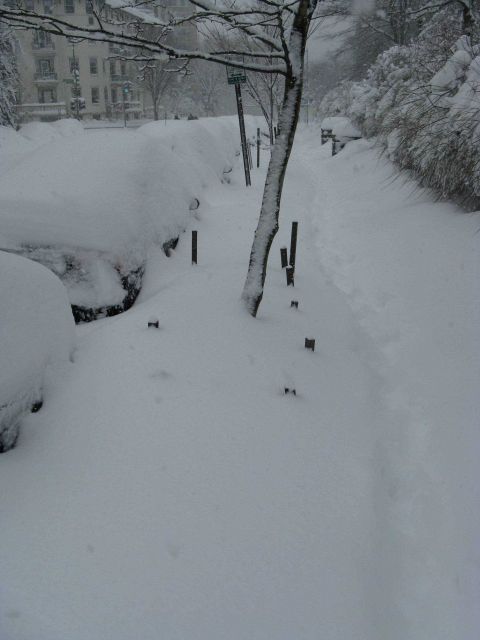 Cars, trees, and sidewalks covered with snow while a few hardy souls walk down a major Washington, D.C., street following the first major snowstorm of Picture