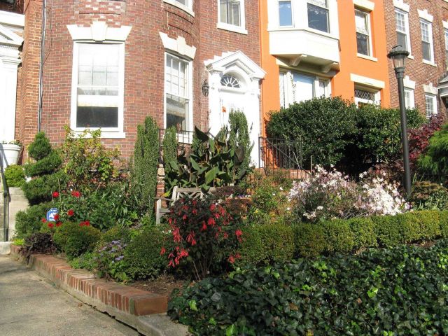 An array of blooming flowers in late fall just one prior to the beginning of record snows Picture