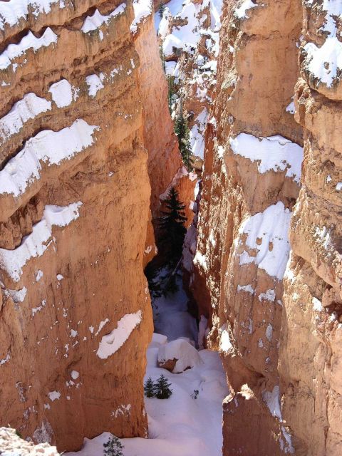 Snow and red rock formations at Bryce Canyon National Park Picture