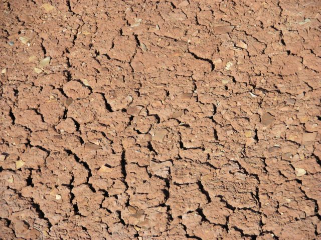Desiccated stream or lake bed with characteristic polygons Picture