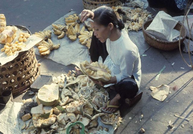 The Vietnam experience of Dr Picture