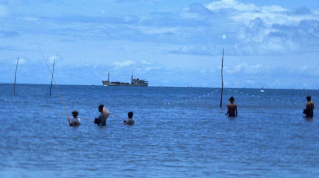 The Vietnam experience of Dr Picture