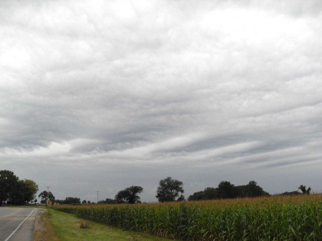 Wave clouds over eastern Wisconsin Picture