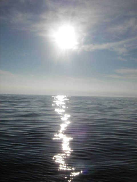 Sunlight sparkling on a tropic sea Picture