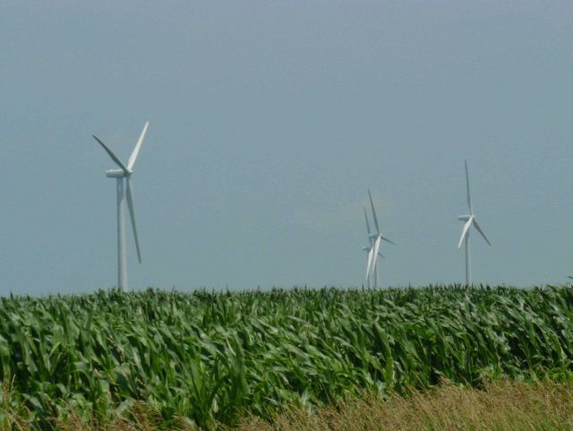 Wind turbines in corn field Picture