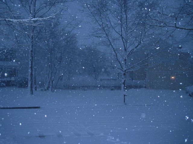 Snow falling on a winter evening Picture