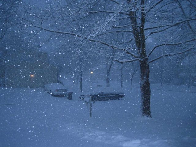 Snow falling on a winter evening Picture
