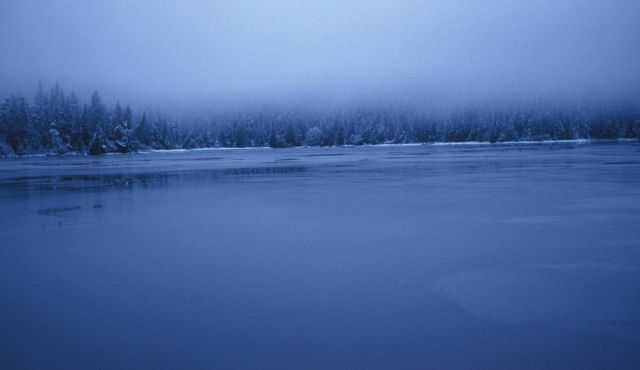 A winter scene in SE Alaska Picture