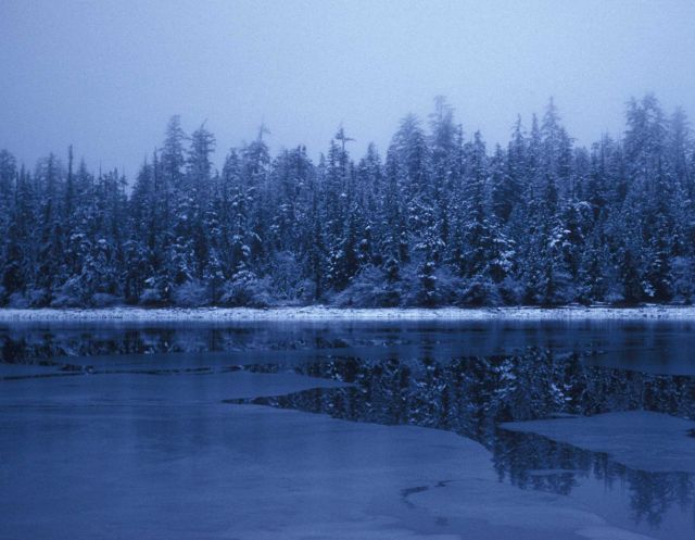 A winter scene in SE Alaska Picture