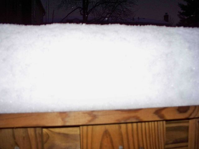 The little whimpy snow that followed the December 19-incher and preceded Snowmageddon only dropped 4-6 inches across the Washington region. Picture