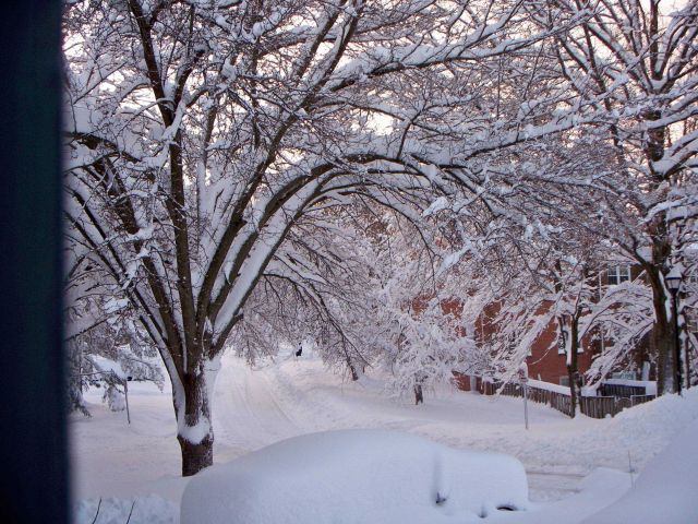 Snowmageddon: 17.8 inches at Reagan, 25 inches at Baltimore-Washington, and 32.4 inches at Dulles Airport Picture