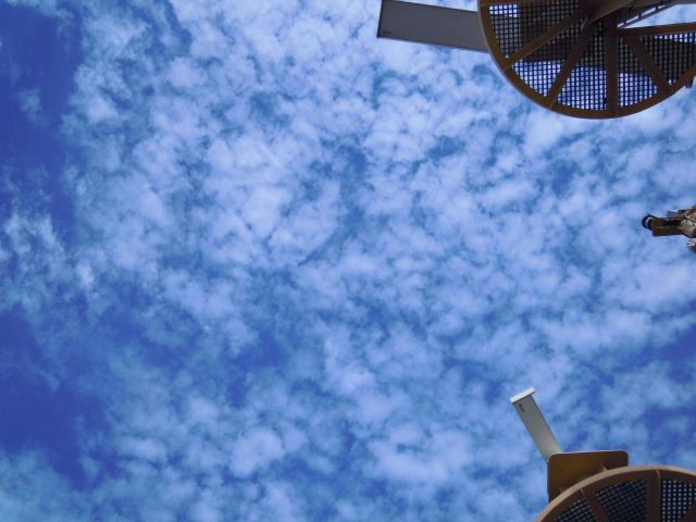 Looking straight up to fair weather cumulus. Picture