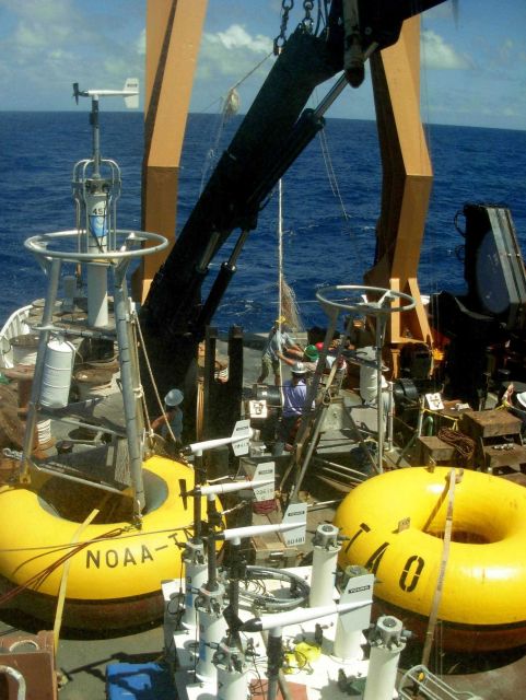 TAO buoy operations off the NOAA Ship Ka'imimoana Picture