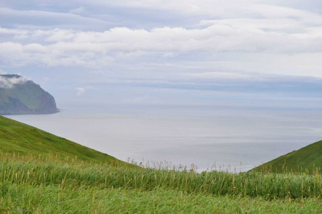 Looking out to sea from mountains above Dutch Harbor Picture