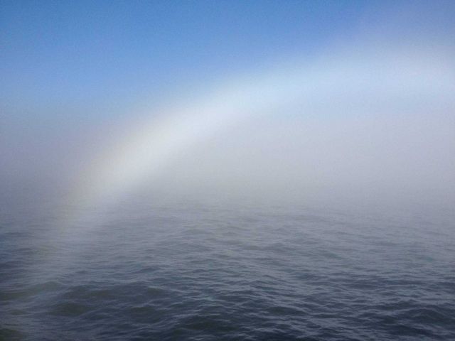 Fog bow in the Gulf of Alaska Picture