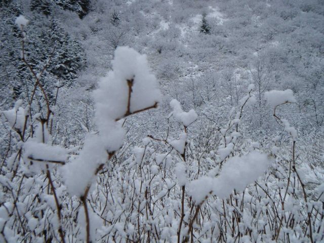 The beauty of freshly fallen snow. Picture