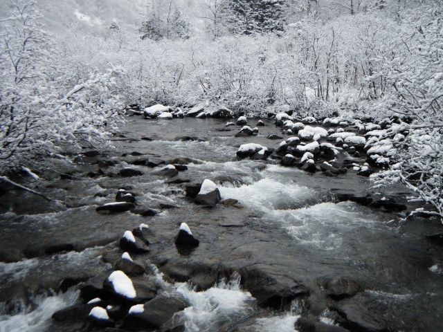 The beauty of freshly fallen snow. Picture
