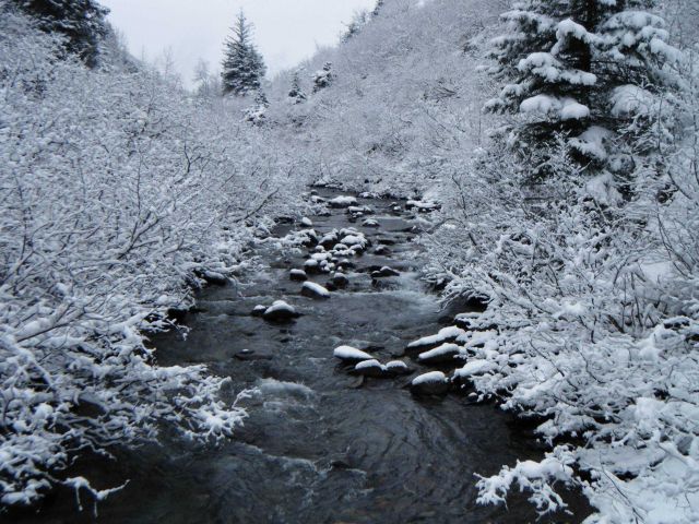 The beauty of freshly fallen snow. Picture