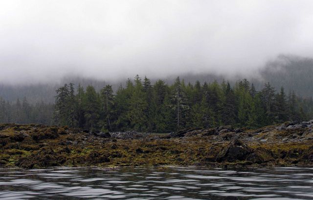 Low clouds and low tide on an Alaskan shoreline. Picture