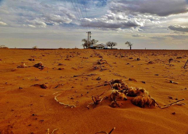 Desolate drought-stricken landscape. Picture